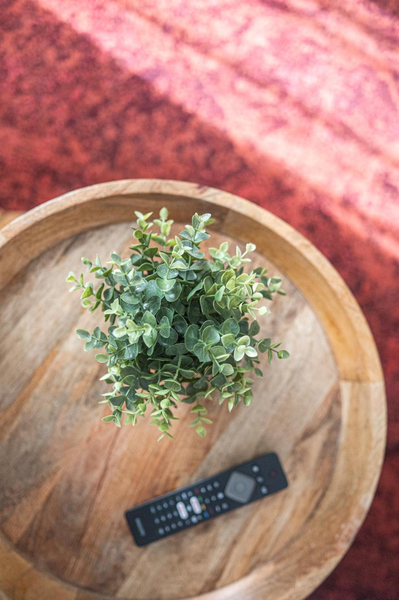 Zest And Nest In The Center Apartment